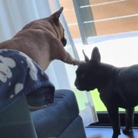「お兄ちゃんだからしょうがないか…」