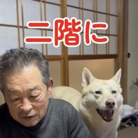 渾身のおねだり！