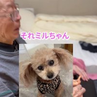 プレゼントの中身は…