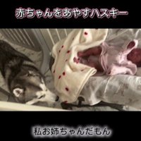 「とりあえずやってみよう」