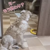 「つまんないっ」