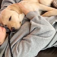 誰かの上で寝るのが大好き