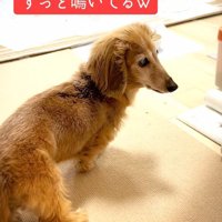 「え？」