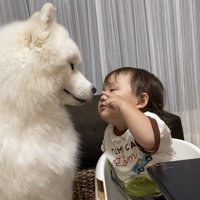 仲良し