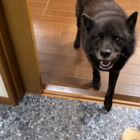 何度も行ったり来たり…