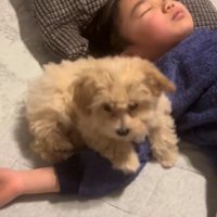 いつでも一緒のふたり