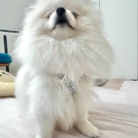 ほとんど見えないけれど誇らしげ！