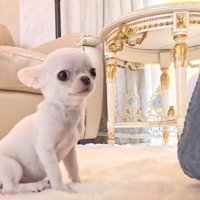 レクチャーを受ける投稿主さん