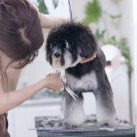 丸いフォルムになってきました