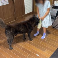 「元気だった？」と匂いをクンクン