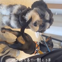 真顔で耐えている…