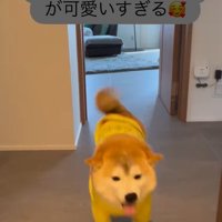 忠太くんの熱烈歓迎4