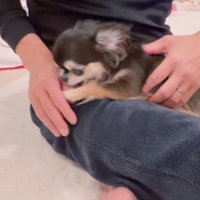 寝たくないえびちゃんは…