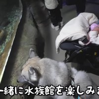 お魚にも興味津々♪