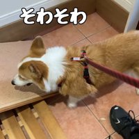 ソワソワ…