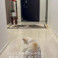 この日、訪れたのは…