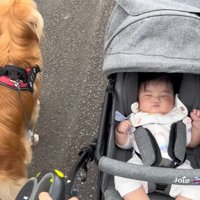 一緒にお散歩♪