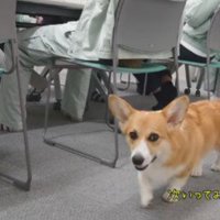 いそいそと移動して…