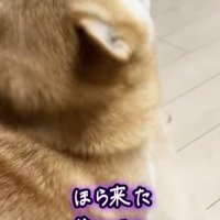 母は強し