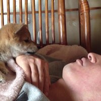 「まだ起きない…」