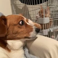 お耳をチョイチョイ♪