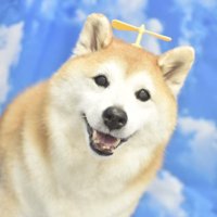 タケコプター