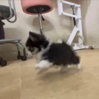 赤ちゃん
