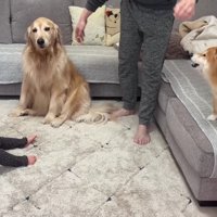 今日の抱っこは終了です！