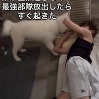 目覚ましを頼まれた郷敦ちゃん
