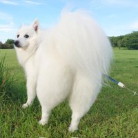 後ろ姿