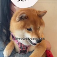 怖いけど頑張ったよ♪