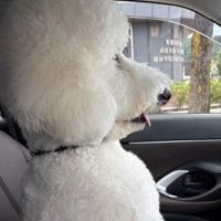 「今日は混んでるね～」