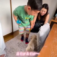 人気者になった桜星くん