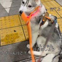 「行きたくない！」