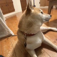 ママの言葉に耳を傾けます