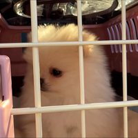 車内では緊張…