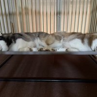 別日