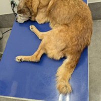 初めは寝たきりだったそう