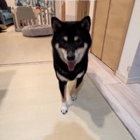 完璧な送球をするもずくくん