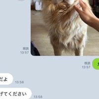 「ご飯食べた？」