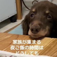 「はっ！」