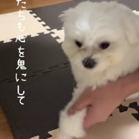 心を鬼にして…