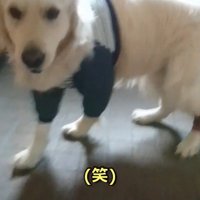 ギンちゃんの表情の変化6