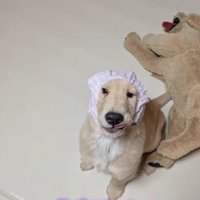 53日後の姿にびっくり！！