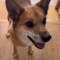 晴れやかな笑顔に感涙