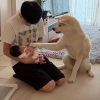 「任せて！」
