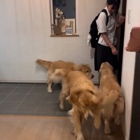 3匹が大集合