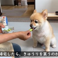 おばあちゃんが食べさせてくれます