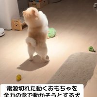 「お願い！動いて！」