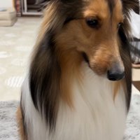 「どうしよう…」と考え中